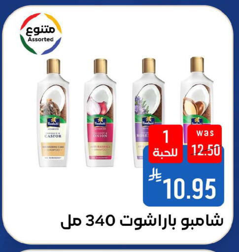 Onion available at شبرا الطائف in مملكة العربية السعودية, السعودية, سعودية - الطائف