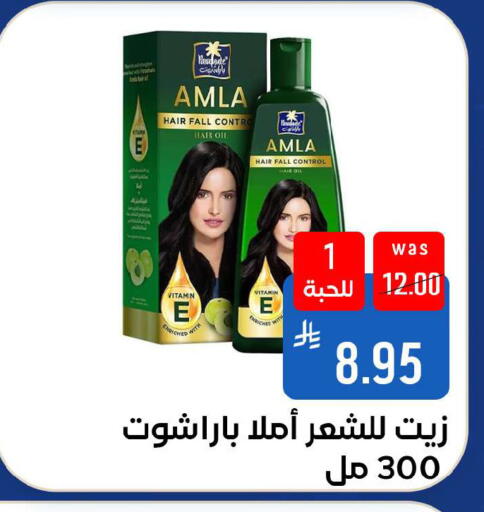 available at شبرا الطائف in مملكة العربية السعودية, السعودية, سعودية - الطائف