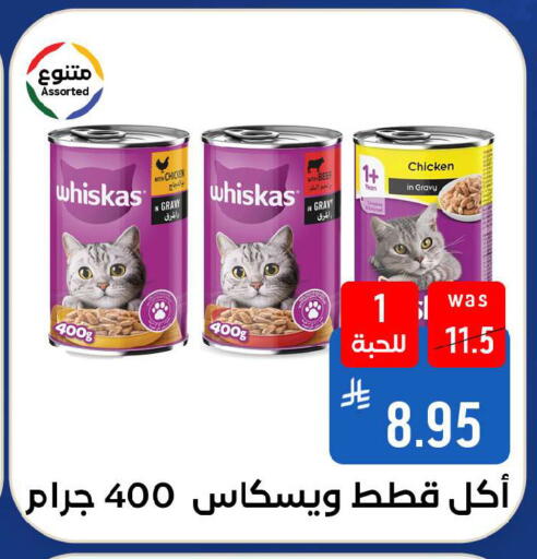available at شبرا الطائف in مملكة العربية السعودية, السعودية, سعودية - الطائف