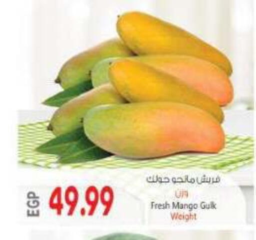Mango available at New.Penny.market in Egypt - Cairo