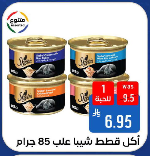 available at شبرا الطائف in مملكة العربية السعودية, السعودية, سعودية - الطائف