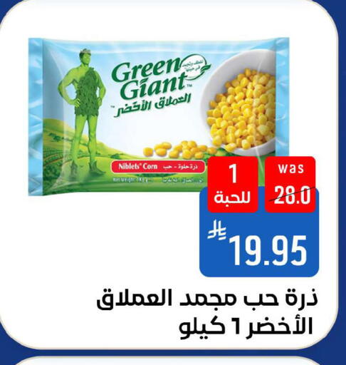 available at شبرا الطائف in مملكة العربية السعودية, السعودية, سعودية - الطائف