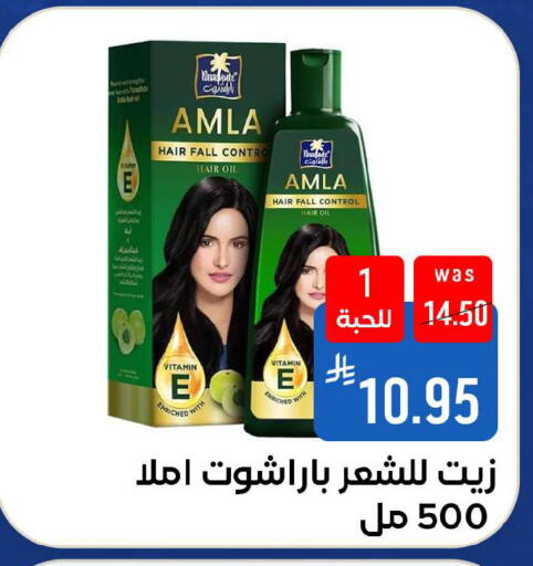 available at شبرا الطائف in مملكة العربية السعودية, السعودية, سعودية - الطائف