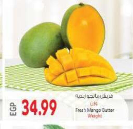 Mango available at New.Penny.market in Egypt - Cairo