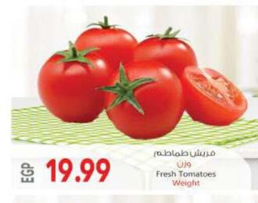 Tomato available at New.Penny.market in Egypt - Cairo
