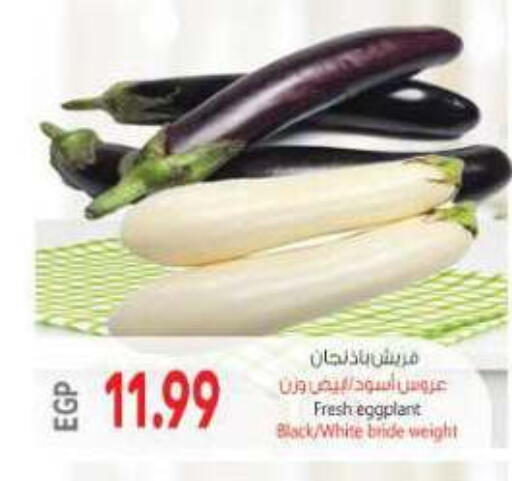 Eggplant available at New.Penny.market in Egypt - Cairo
