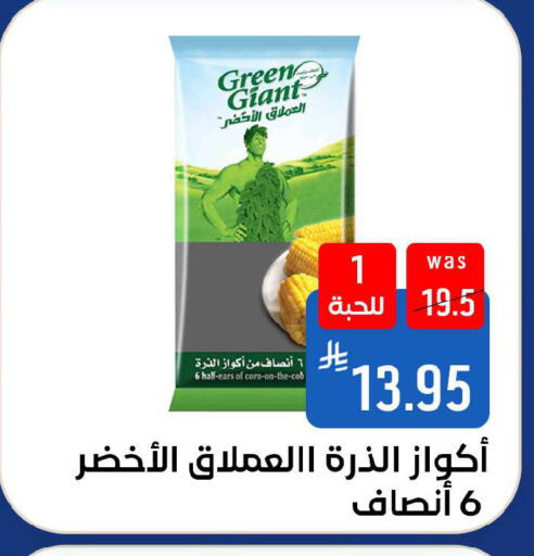available at شبرا الطائف in مملكة العربية السعودية, السعودية, سعودية - الطائف