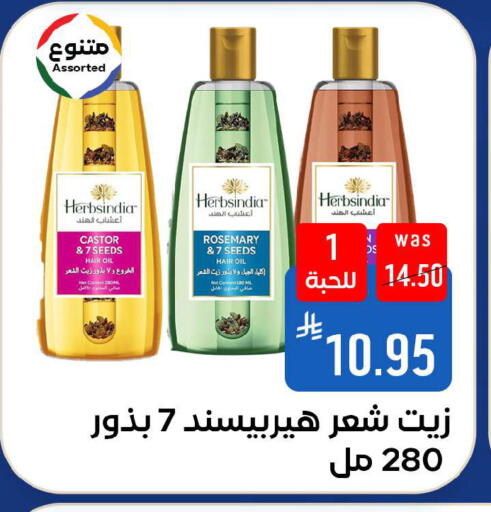 Rosemary available at شبرا الطائف in مملكة العربية السعودية, السعودية, سعودية - الطائف