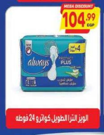 available at New.Penny.market in Egypt - Cairo