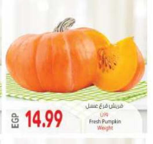 Pumpkin available at New.Penny.market in Egypt - Cairo