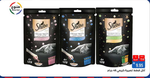 available at شبرا الطائف in مملكة العربية السعودية, السعودية, سعودية - الطائف