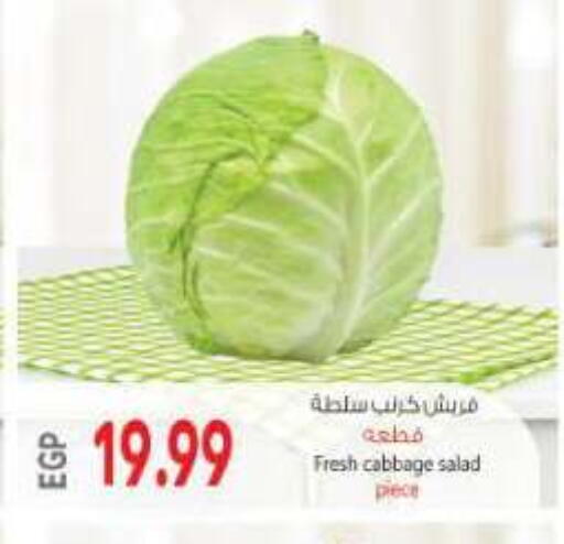 Cabbage available at New.Penny.market in Egypt - Cairo