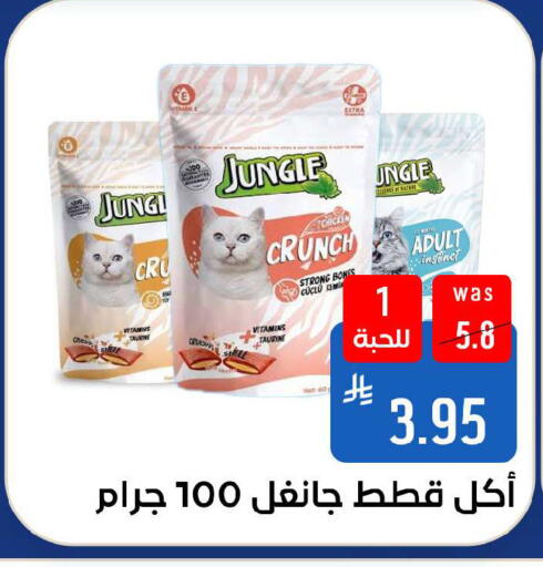 available at شبرا الطائف in مملكة العربية السعودية, السعودية, سعودية - الطائف