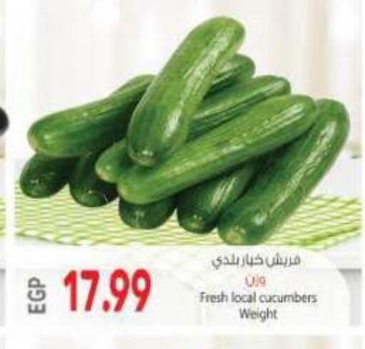 available at New.Penny.market in Egypt - Cairo