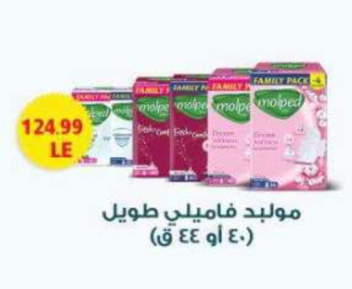 available at New.Penny.market in Egypt - Cairo