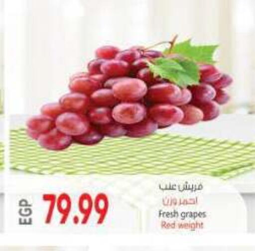 Grapes available at New.Penny.market in Egypt - Cairo