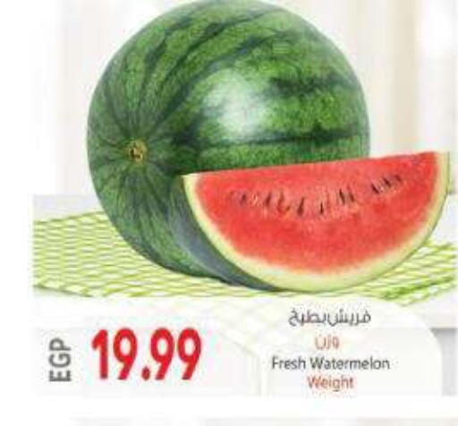 Watermelon available at New.Penny.market in Egypt - Cairo