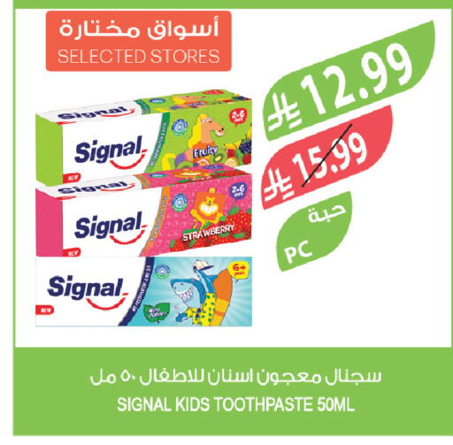 Strawberry available at المزرعة in مملكة العربية السعودية, السعودية, سعودية - الخفجي