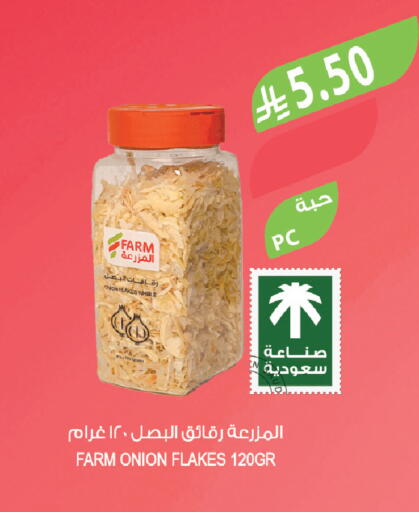 Onion available at Farm  in KSA, Saudi Arabia, Saudi - Yanbu