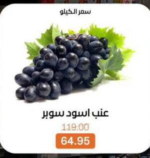 available at Beit El Gomla in Egypt - Cairo