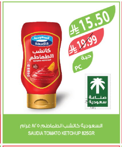Tomato available at Farm  in KSA, Saudi Arabia, Saudi - Khafji