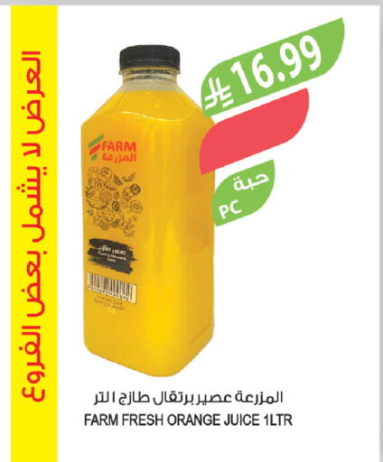 Orange available at Farm  in KSA, Saudi Arabia, Saudi - Khafji