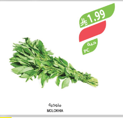 available at المزرعة in مملكة العربية السعودية, السعودية, سعودية - ينبع