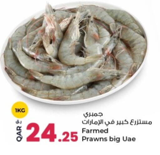 available at روابي هايبرماركت in قطر - الوكرة