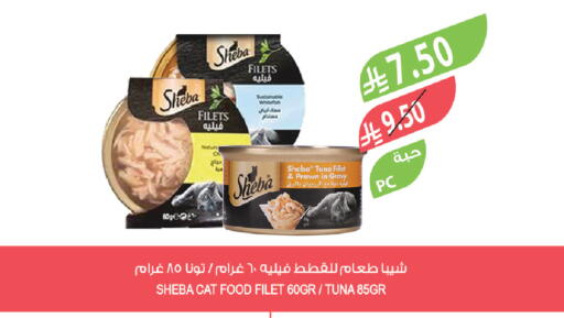 available at Farm  in KSA, Saudi Arabia, Saudi - Khafji