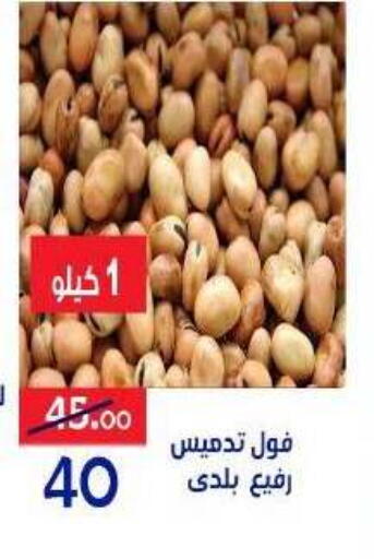 available at الدنيا بخير in Egypt - القاهرة