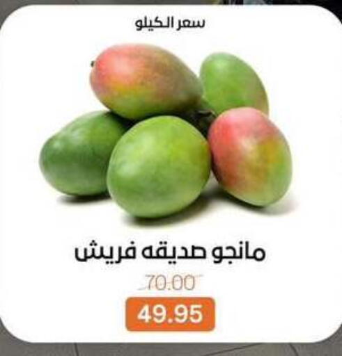 available at Beit El Gomla in Egypt - Cairo