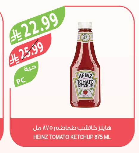 Tomato available at Farm  in KSA, Saudi Arabia, Saudi - Khafji