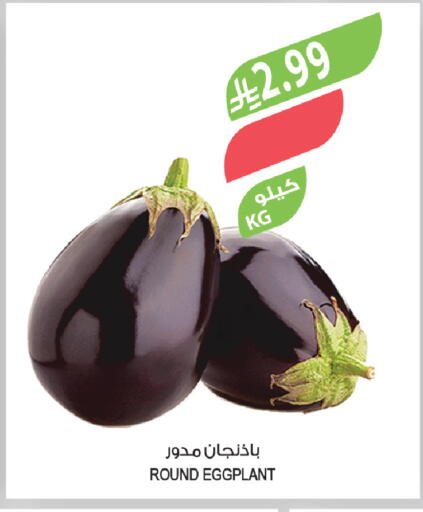Eggplant available at المزرعة in مملكة العربية السعودية, السعودية, سعودية - ينبع