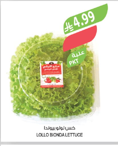 Lettuce available at المزرعة in مملكة العربية السعودية, السعودية, سعودية - سكاكا