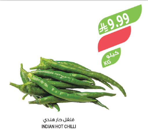 Chilli from India available at المزرعة in مملكة العربية السعودية, السعودية, سعودية - ينبع