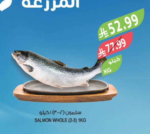 available at Farm  in KSA, Saudi Arabia, Saudi - Sakaka