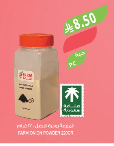 Onion available at Farm  in KSA, Saudi Arabia, Saudi - Yanbu