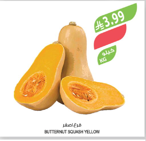 Squash available at المزرعة in مملكة العربية السعودية, السعودية, سعودية - ينبع