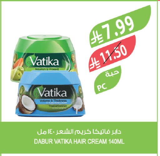 Coconut available at المزرعة in مملكة العربية السعودية, السعودية, سعودية - الخفجي