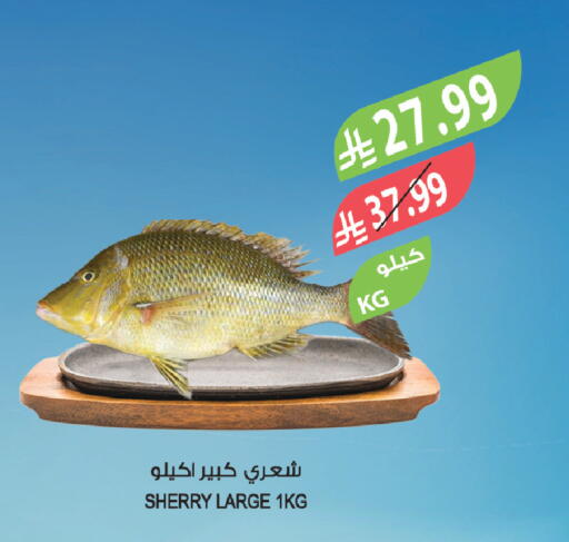 available at Farm  in KSA, Saudi Arabia, Saudi - Sakaka