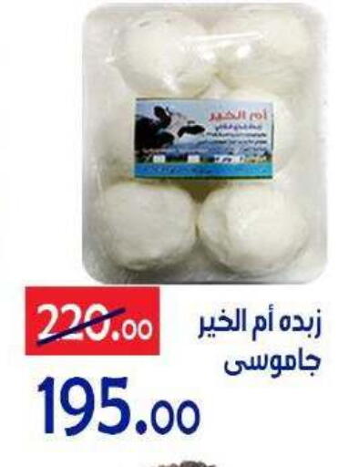 available at الدنيا بخير in Egypt - القاهرة
