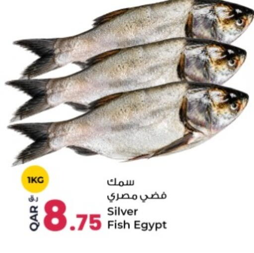 available at روابي هايبرماركت in قطر - الوكرة