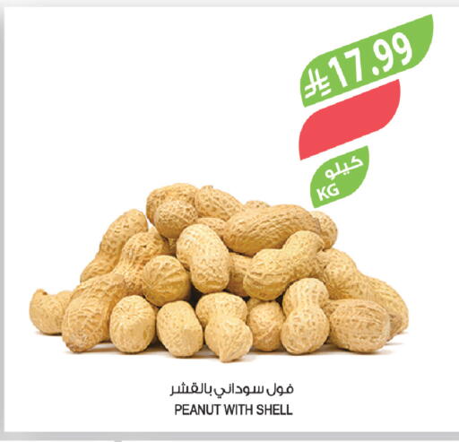 available at المزرعة in مملكة العربية السعودية, السعودية, سعودية - ينبع