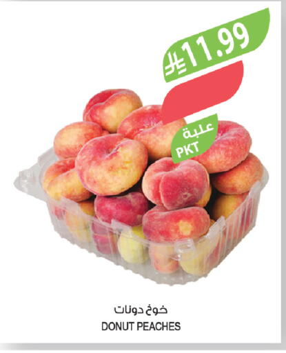 available at المزرعة in مملكة العربية السعودية, السعودية, سعودية - ينبع