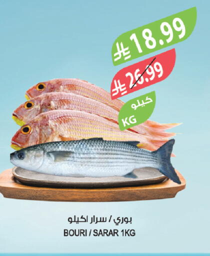 available at Farm  in KSA, Saudi Arabia, Saudi - Sakaka