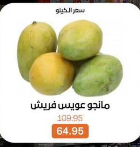 available at Beit El Gomla in Egypt - Cairo
