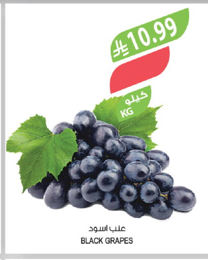 Grapes available at المزرعة in مملكة العربية السعودية, السعودية, سعودية - الخفجي