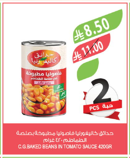 Tomato available at Farm  in KSA, Saudi Arabia, Saudi - Khafji