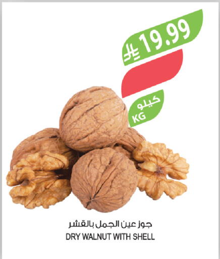 available at المزرعة in مملكة العربية السعودية, السعودية, سعودية - الخفجي