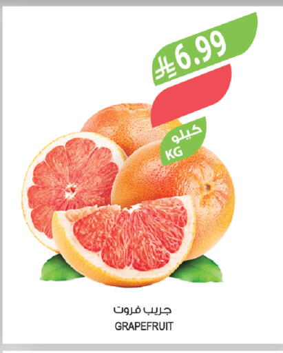 available at المزرعة in مملكة العربية السعودية, السعودية, سعودية - الخفجي